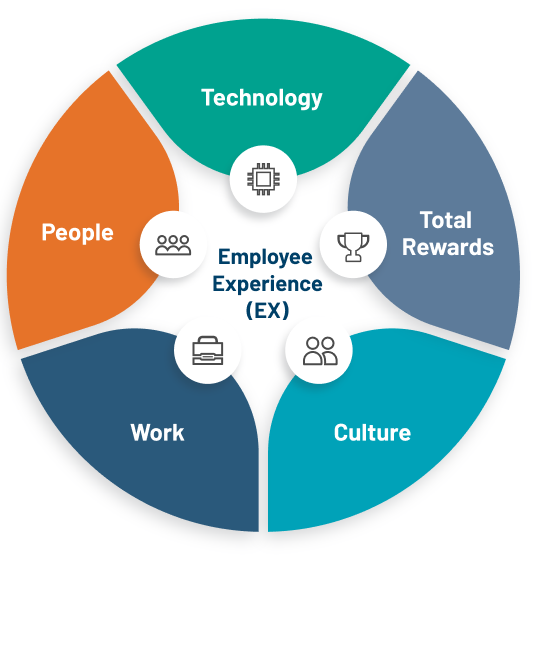 Employee Experience Explore the 5 different factors of our EX model
