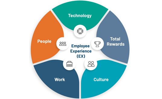Employee Experience web graphic