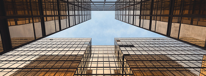 Enterprise Architecture Management