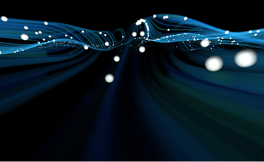 Protiviti's unique offerings