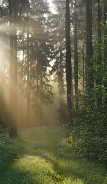 Protiviti addresses ESG goals for our employees, clients and the community