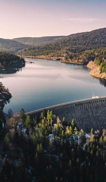 Sustainability und ESG mit Protiviti