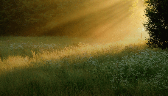 It’s now or never Is ESG on the agenda for finance leaders