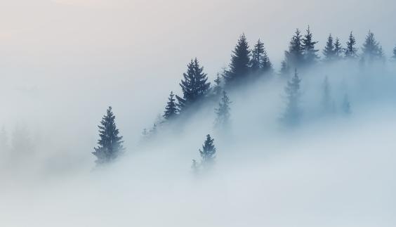 External Exposure Assessment - Securing Environments in the 'New Normal'