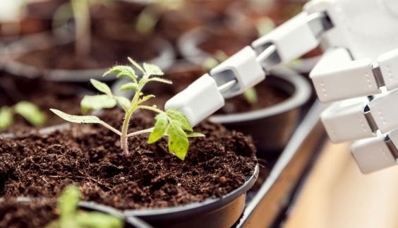The Future Auditor Faces the Digital Imperative