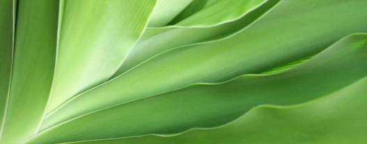 How A Technology-Ready Workforce Can Accelerate Business Transformation