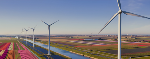 Sustainability: Frequently Asked Questions