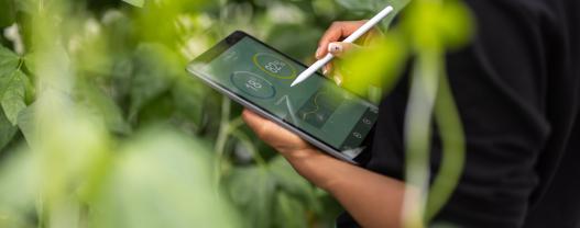 Podcast | Strategic and Sustainable Sourcing – with Radhi Subramanian and Debjani Mallick