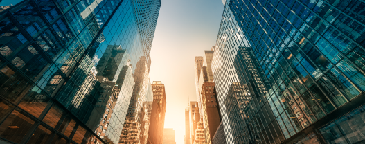 The Hidden Costs of an ERP Transformation