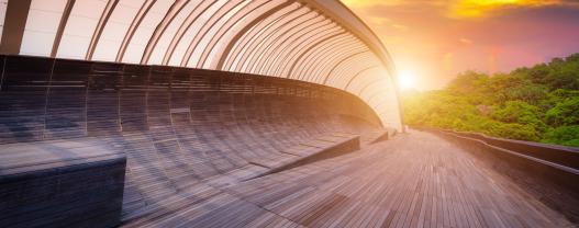 Managing Organizational Blind Spots and Disruption