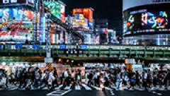 プロティビティについて詳しく知る
