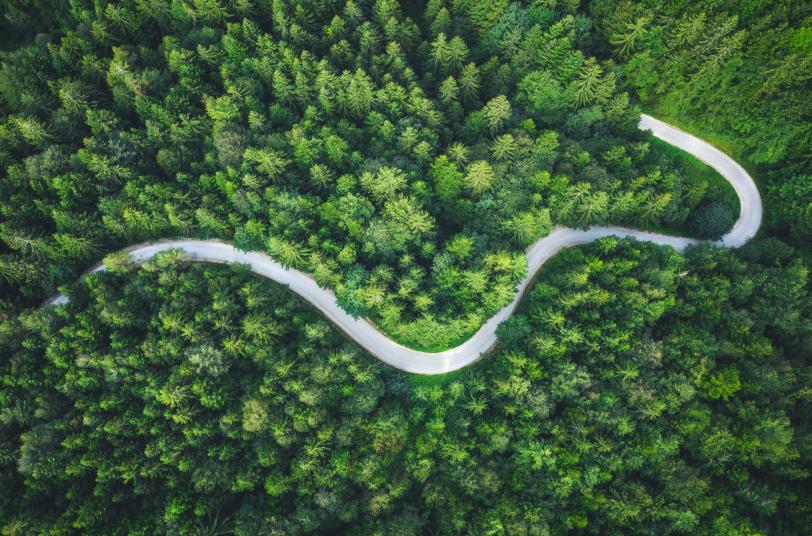 ESG Roadmap mit Protiviti erstellen