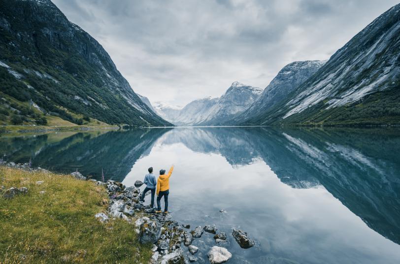 Sustainability und ESG Services mit Protiviti