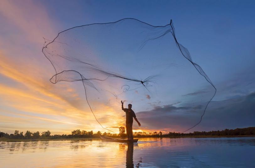 Diving into SAP S/4HANA